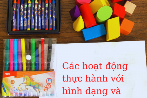 HOẠT ĐỘNG TẠI NHÀ GIÚP BÉ HỌC PHÂN LOẠI HÌNH DẠNG VÀ MÀU SẮC - BAO NGON TOYS