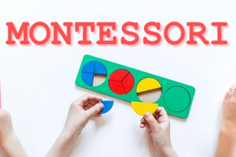 Lý thuyết Montessori về Các Giai đoạn của Sự phát triển