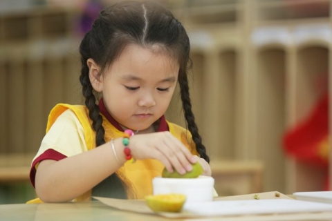 Phương pháp Montessori ngày càng phổ biến tại Việt Nam