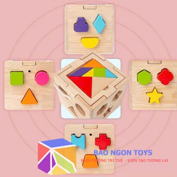 Đồ chơi gỗ hộp thả hình khối Montessori giúp bé nhận biết hình dạng, màu sắc và phát triển vận động tinh - BAO NGON TOYS - DG342
