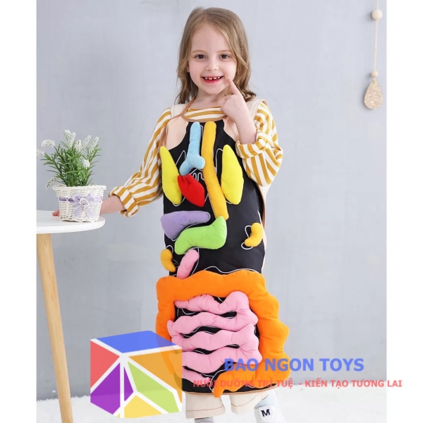 GIÁO CỤ DẠY HỌC MONTESSORI VỀ CÁC CƠ QUAN NỘI TẠNG TRONG CƠ THỂ - BÉ VÀO VAI BÁC SĨ NGOẠI KHOA - BAO NGON TOYS - DV34